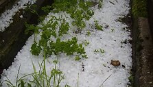 Vasaros kru&scaron;a Dubingiuose