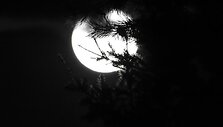 Gusto Rutkausko nuotr.