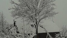 Skaitytojos Vilmos nuotr. žiema Varėnoje