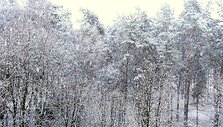 Druskininkuose prisnigo