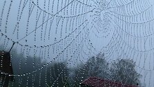 Žiema, karoliukų vėrinys... (Renės Mekienės nuotr.)
