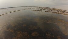 Pavasario potvynis pamaryje