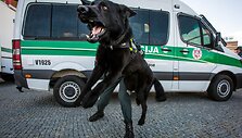 Policijos &scaron;ventė Vilniuje, prie PC &bdquo;Ozas&ldquo;