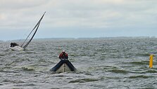 Žurnalistų regata Kur&scaron;ių mariose