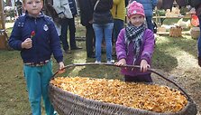 Grybų &scaron;ventė Varėnoje