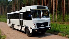 Autobusas МАZ 131020
