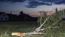 &Scaron;akių rajone viesulo &scaron;ėlsmas priminė artėjantį traukinį