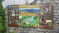 Demanovo slėnio stalagmitų ir stalaktitų Laisvės urvas