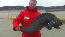 Žūklės laimikis. Deivydo 8,5 kg vilkžuvė