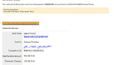 Netikras PayPal blankas