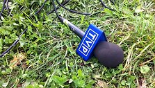 Lenkų protesto mitingas prie Lietuvos respublikos Seimo