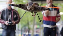 &bdquo;Meno kūrinys&ldquo; buvo pristatyas &bdquo;Kunstrai&ldquo; meno festivalyje Amsterdame. 