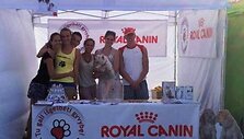Beglobis.lt komanda festivalyje &bdquo;Galapagai-Roko naktys&ldquo;