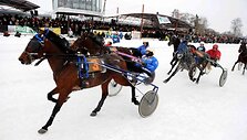 Prie starto linijos &scaron;iemet stos 79 ristūnai ir 40 sportininkų. 