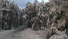 Žiema užgriuvo Kur&scaron;ių neriją.