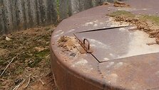 Voljeras ir &scaron;is konteineris atviras visiems &ndash; ant jų nėra jokių spynų.