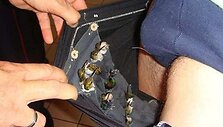 Kolibriai aptikti olando kontrabandininko kelnėse.