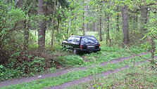 Mi&scaron;ke paliktas automobilis
