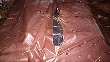 Kontrabandinės cigaretės