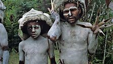Papua Naujoji Gvinėja