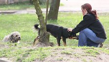 Įsigaliojusios naujos gyvūnų laikymo taisyklės labiausiai keitėsi bičių ir &scaron;unų augintojams.