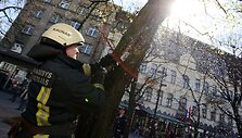 vykio vietoje plu&scaron;ėję ugniagesiai tvirtino, jog pana&scaron;ių i&scaron;kvietimų, ypač &scaron;iltuoju metų laikotarpiu, sulaukia gana dažnai.