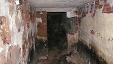 Kita L.Kavaliausko aistra &ndash; i&scaron; Antrojo pasaulinio karo likusių slėptuvių tyrinėjimas.