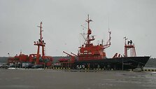Laivas