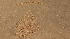 Mindaugo portretas