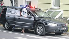 &Scaron;vyturėliai
