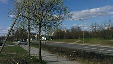 Medžių ir &bdquo;Audi&ldquo; nuolaužos avarijos vietoje traukė praeivių dėmesį.