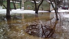 Žiemos ir pavasario kova