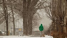 Balandžio pradžia primena tikrą žiemą.