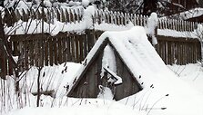 &Scaron;ulinys