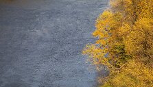 Plikakalnio atodanga 