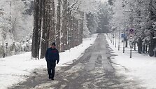 Į Lietuvą sugrįžo žiema.