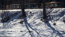 Ankstyvo pavasario ženklai Vilniuje