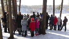 Verkių parke i&scaron;kelti inkilai