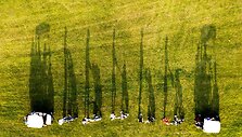 ŽMONĖS | golfo turnyras 