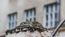 Apleistos mokyklos pastato remontui reikia apie 12 mln. Lt 