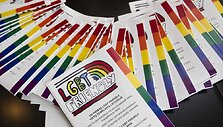 LGBT Friendly žemėlapio pristatymas
