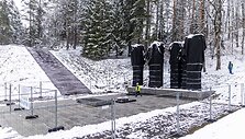 Vilniaus Antakalnio kapinėse prasidėjo stelų nukėlimo darbai