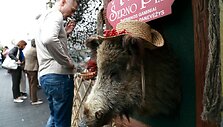 Gedimino pr. trim dienoms įsikūrė Tautų mugės ir Gdansko dienų dalyviai.