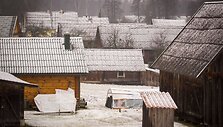 Kelionė per Auk&scaron;taitijos nacionalinio parko mi&scaron;kus ir pievas.