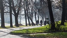 Vilnius paniręs į melsvą rūką