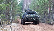 Karinės pratybos &bdquo;Geležinis kardas&ldquo;