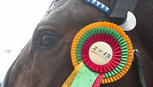 Dusetose startavo &bdquo;Sartai 2015&ldquo; lenktynės
