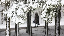 Žiema spardosi &ndash; pirmąją kovo savaitę prisnigo
