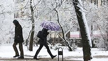 Žiema spardosi &ndash; pirmąją kovo savaitę prisnigo