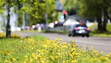 Vilniečiai mėgavosi pavasari&scaron;ka sekmadienio popiete
